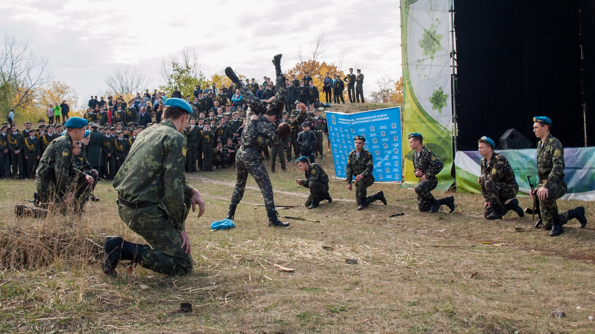 Сокіл джура картинки