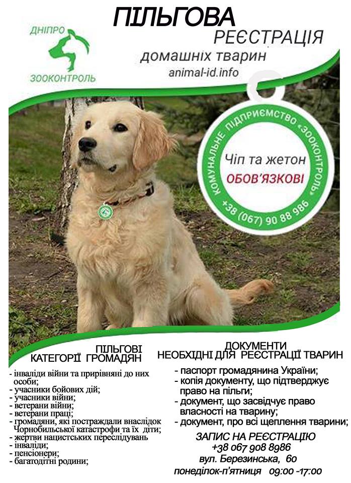 ПІЛЬГОВА РЕЄ